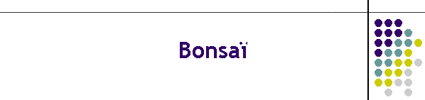 Bonsa