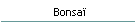 Bonsa