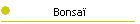 Bonsa