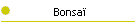 Bonsa